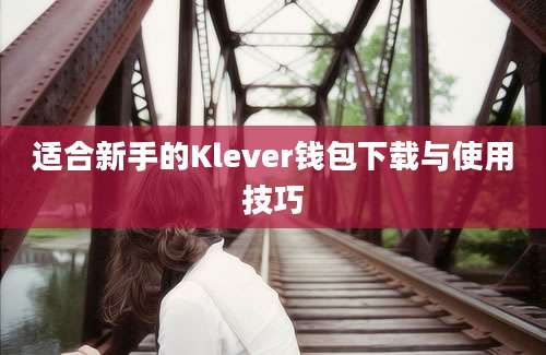 适合新手的Klever钱包下载与使用技巧