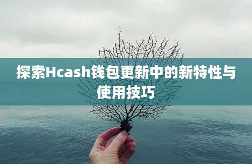 探索Hcash钱包更新中的新特性与使用技巧