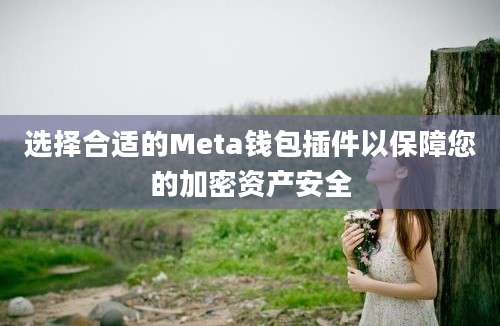 选择合适的Meta钱包插件以保障您的加密资产安全