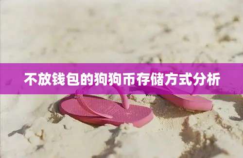 不放钱包的狗狗币存储方式分析