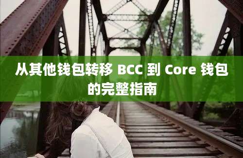 从其他钱包转移 BCC 到 Core 钱包的完整指南