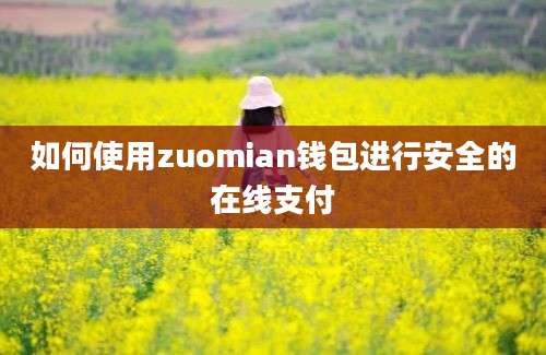 如何使用zuomian钱包进行安全的在线支付