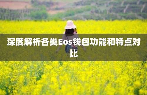 深度解析各类Eos钱包功能和特点对比