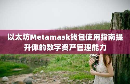 以太坊Metamask钱包使用指南提升你的数字资产管理能力