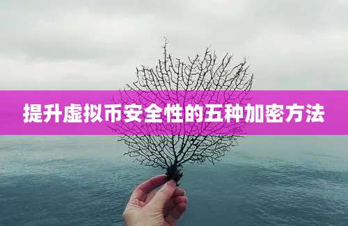 提升虚拟币安全性的五种加密方法