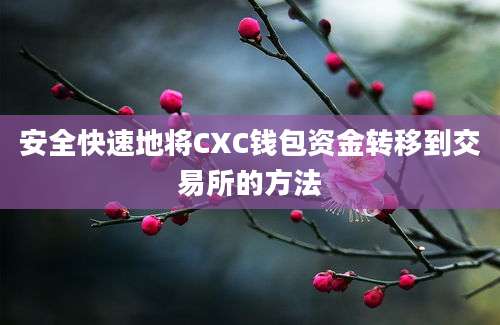 安全快速地将CXC钱包资金转移到交易所的方法