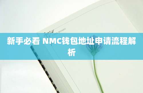 新手必看 NMC钱包地址申请流程解析