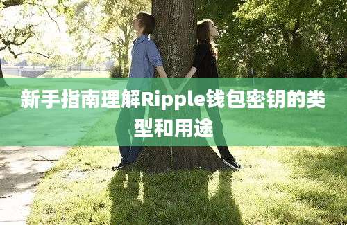 新手指南理解Ripple钱包密钥的类型和用途