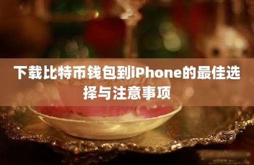 下载比特币钱包到iPhone的最佳选择与注意事项