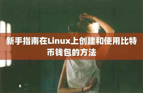 新手指南在Linux上创建和使用比特币钱包的方法