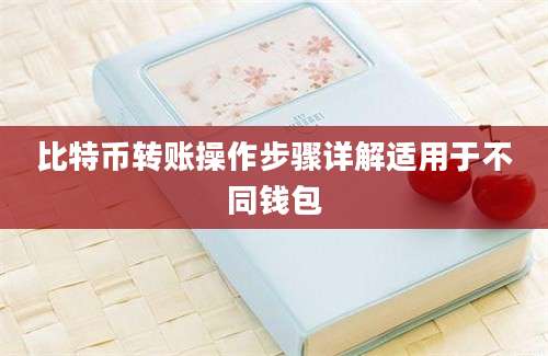 比特币转账操作步骤详解适用于不同钱包