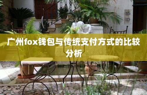 广州fox钱包与传统支付方式的比较分析