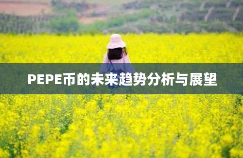 PEPE币的未来趋势分析与展望