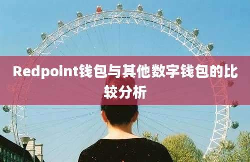 Redpoint钱包与其他数字钱包的比较分析