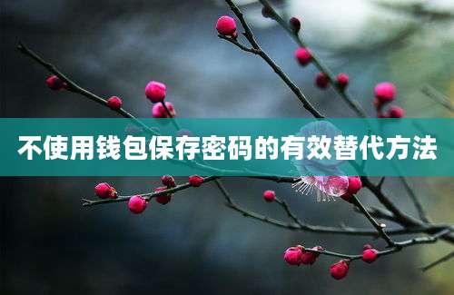 不使用钱包保存密码的有效替代方法