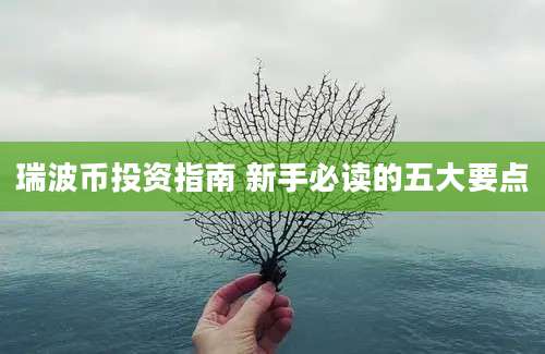 瑞波币投资指南 新手必读的五大要点