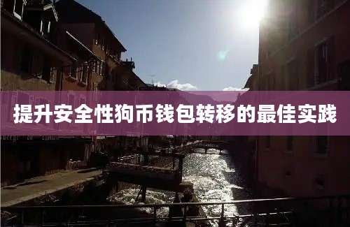 提升安全性狗币钱包转移的最佳实践