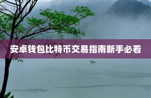 安卓钱包比特币交易指南新手必看