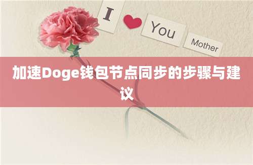 加速Doge钱包节点同步的步骤与建议