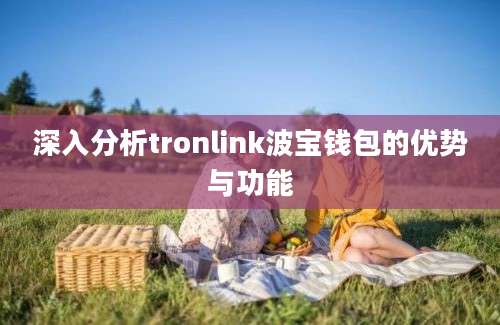 深入分析tronlink波宝钱包的优势与功能