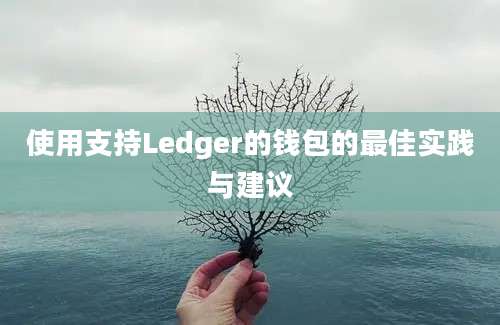 使用支持Ledger的钱包的最佳实践与建议