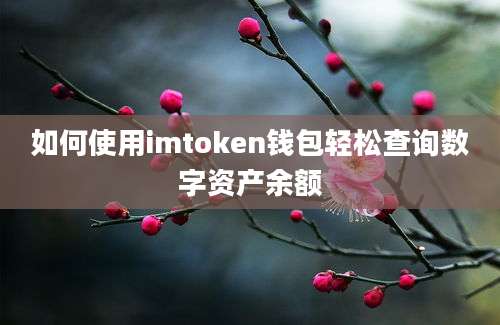 如何使用imtoken钱包轻松查询数字资产余额