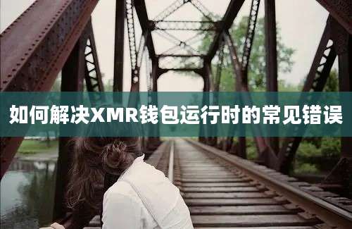 如何解决XMR钱包运行时的常见错误