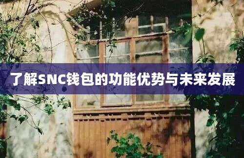 了解SNC钱包的功能优势与未来发展