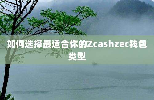 如何选择最适合你的Zcashzec钱包类型