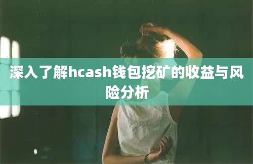 深入了解hcash钱包挖矿的收益与风险分析