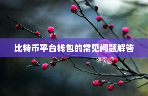 比特币平台钱包的常见问题解答