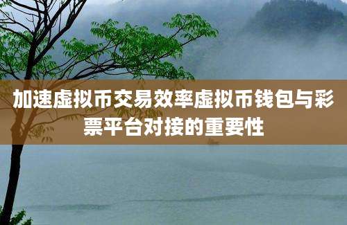 加速虚拟币交易效率虚拟币钱包与彩票平台对接的重要性