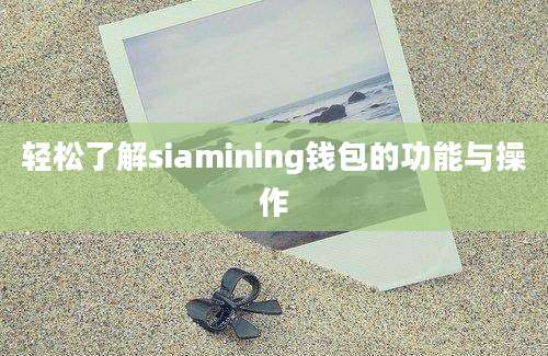 轻松了解siamining钱包的功能与操作