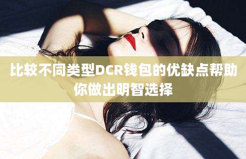 比较不同类型DCR钱包的优缺点帮助你做出明智选择