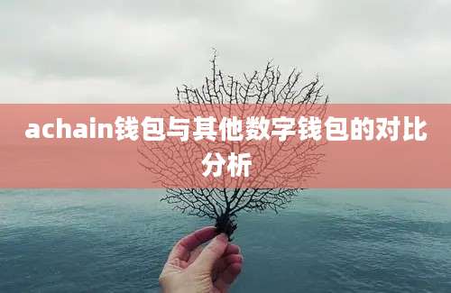 achain钱包与其他数字钱包的对比分析