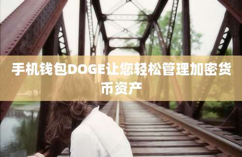 手机钱包DOGE让您轻松管理加密货币资产