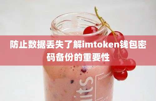 防止数据丢失了解imtoken钱包密码备份的重要性