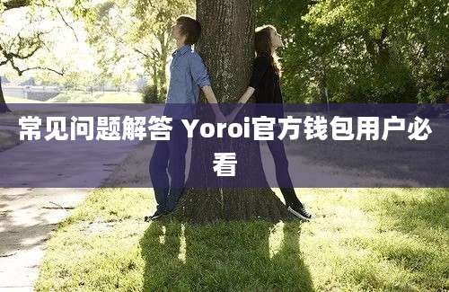 常见问题解答 Yoroi官方钱包用户必看