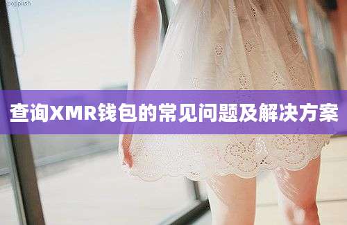 查询XMR钱包的常见问题及解决方案