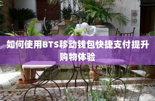 如何使用BTS移动钱包快捷支付提升购物体验