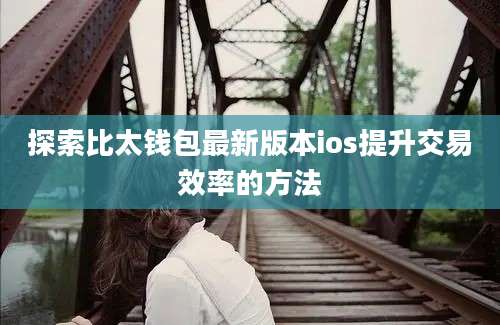 探索比太钱包最新版本ios提升交易效率的方法