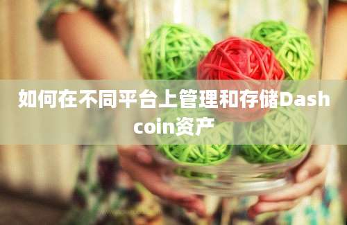 如何在不同平台上管理和存储Dashcoin资产