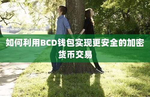 如何利用BCD钱包实现更安全的加密货币交易