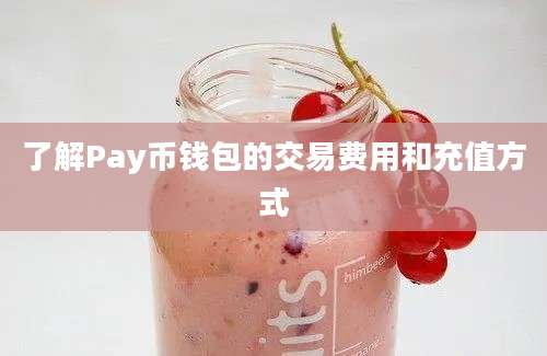 了解Pay币钱包的交易费用和充值方式