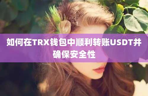 如何在TRX钱包中顺利转账USDT并确保安全性