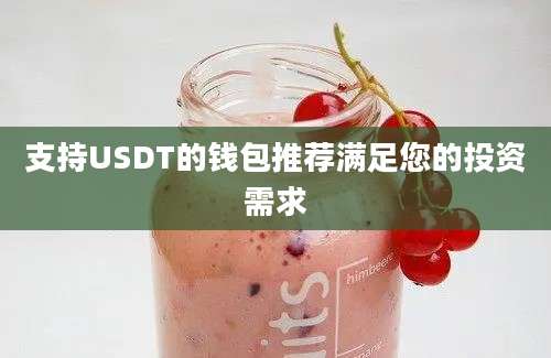 支持USDT的钱包推荐满足您的投资需求