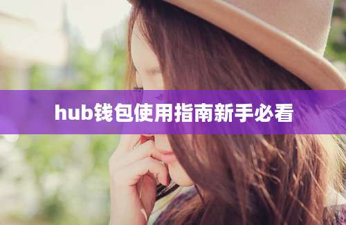 hub钱包使用指南新手必看