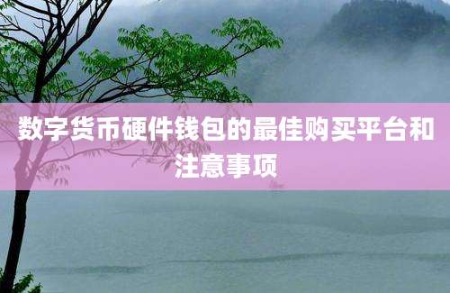 数字货币硬件钱包的最佳购买平台和注意事项