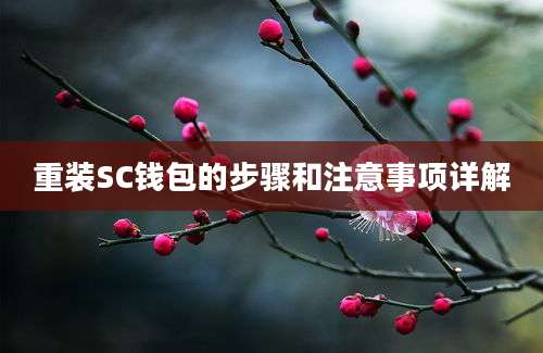 重装SC钱包的步骤和注意事项详解