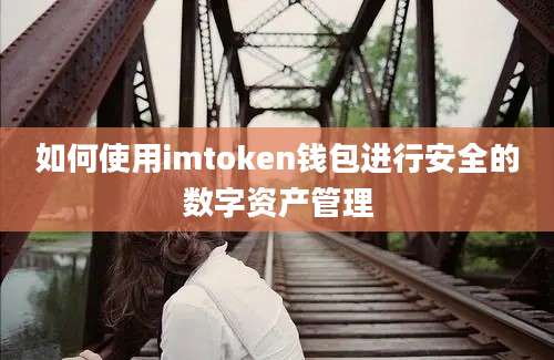 如何使用imtoken钱包进行安全的数字资产管理